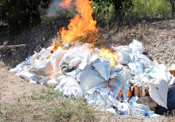 Новость - События - Напалили: в Полтаве уничтожили наркотики на сумму почти 2 млн грн