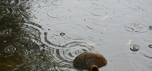 Фотофакт: улицы Симферополя заливают тонны питьевой воды