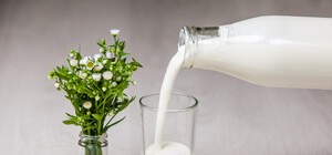 Кишечная палочка и дрожжи: больше половины кефира на прилавках Харькова не соответствуют норме