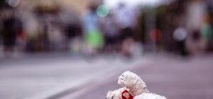 Ребенок в коме: под Харьковом сбили 10-летнюю девочку