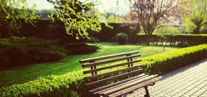 На території університету: на Пекарській облаштують громадський простір