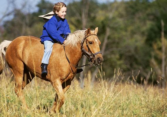 Новость - События - Иппотерапия: под Полтавой проходят конные соревнования для детей с инвалидностью