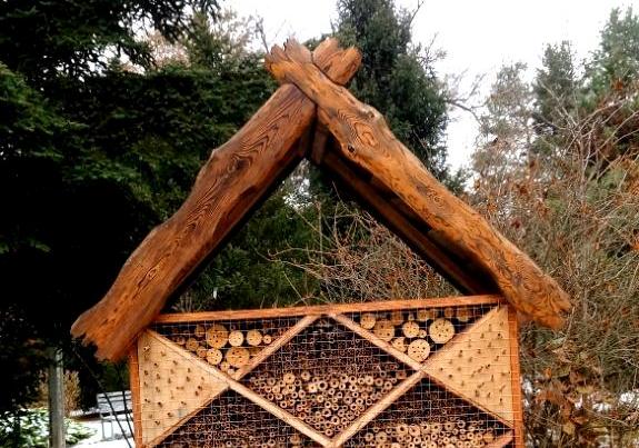 Новость - События - Комары в шоке: на Полтавщине построили 5-звездочный отель для насекомых