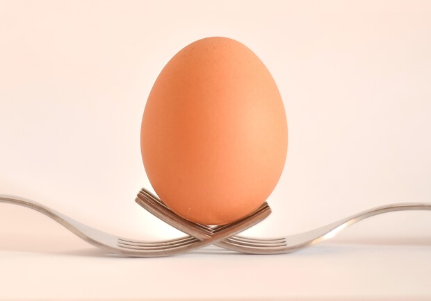Яйцо-рекордсмен из Instagram оказалось рекламой. Фото: pixabay.com