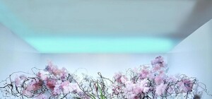 Приходи посмотреть: в Музее литературы пройдет весенняя выставка японской культуры