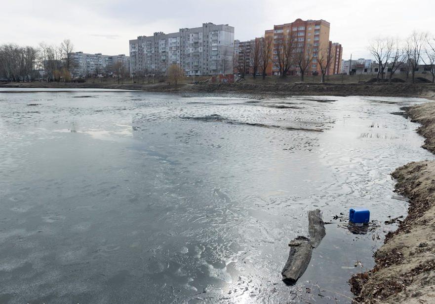 На Полтавщине в городском озере массово гибнет рыба/ Фото: Андрей Куценко
