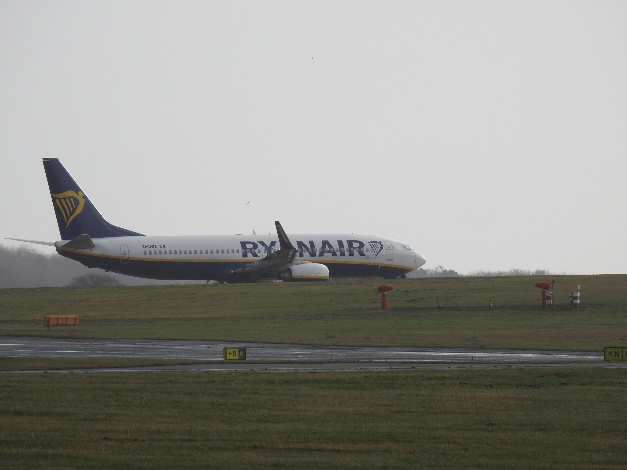 Осенью Ryanair начнет авиаперевозки в Польшу из двух городов Украины / flickr