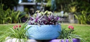 Цветы в покрышках и бутылках: чем могут быть вредны 