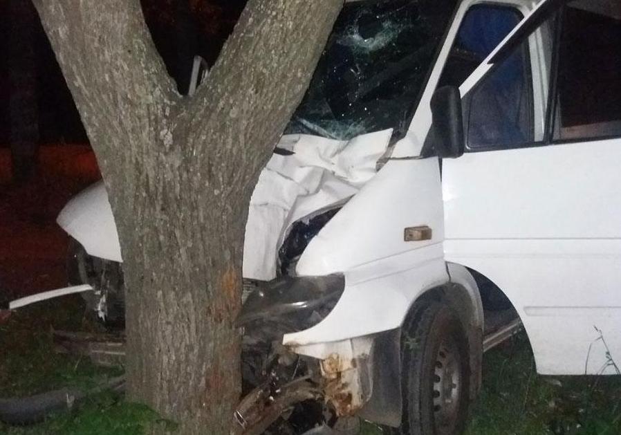 На М. Бирюзова микроавтобус сбил подростка и врезался в дерево