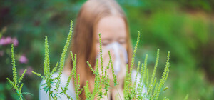 Аллергия наступает: симферопольцы выдвинули ультиматум властям