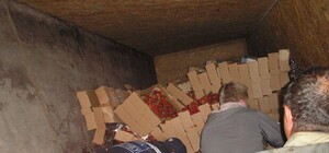 Получилось варенье: под Запорожьем перевернулась фура с 5 тоннами клубники