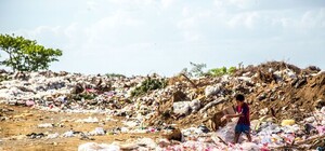 Львів’янин, з подвір’я якого вивезли 10 тонн сміття, знову взявся за своє: відео