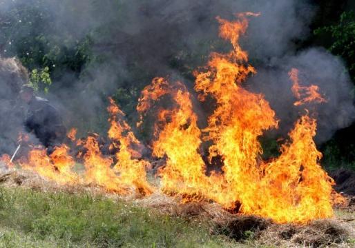 На Полтавщине объявлена черезвычайная пожарная опасность