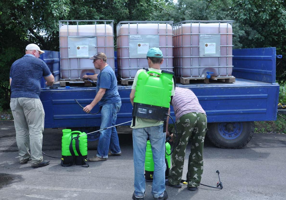 В Полтаве начали уничтожать амброзию / Фото: Полтавщина