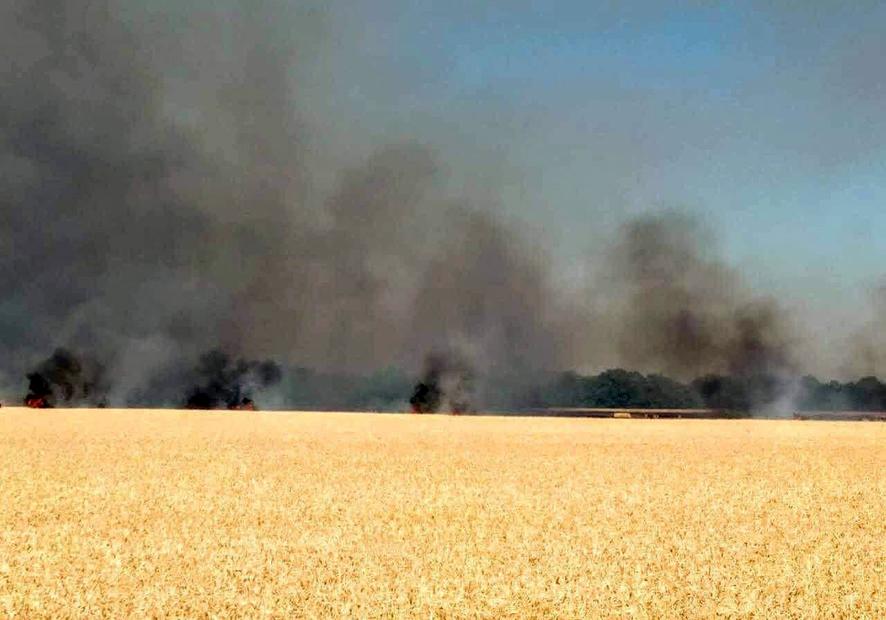На Полтавщине сгорело 24 гектара зерна
