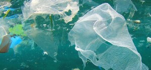 Почувствуй себя рыбой в океане мусора: киевский зоопарк зовет на экологическую акцию