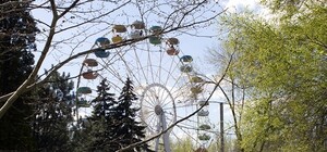 Красиво: в Дубовке появилась новая фотозона