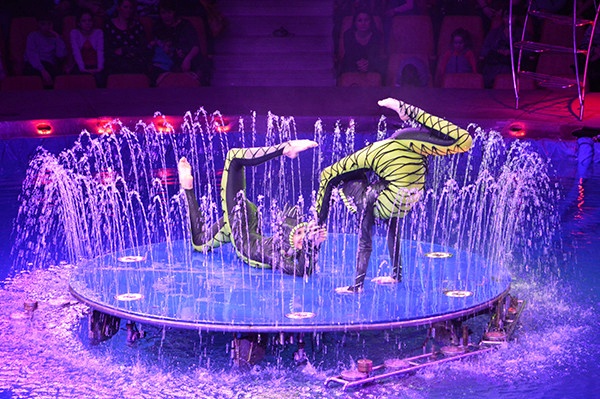 Афиша - Театры - Цирк на воде. Магическое шоу фонтанов