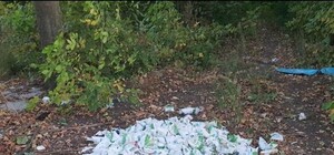 Кефир, йогурты и молоко: на Полтавщине среди леса выбросили кучу просроченной молочки