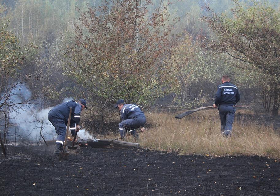 На Полтавщине огонь уничтожил около 20 гектаров леса