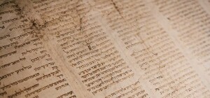 Загадки и исторические экспонаты: в галереи 