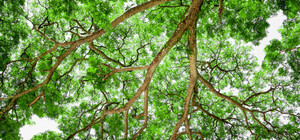 Альтер эко: как наживаются на киевлянах производители экологичных товаров