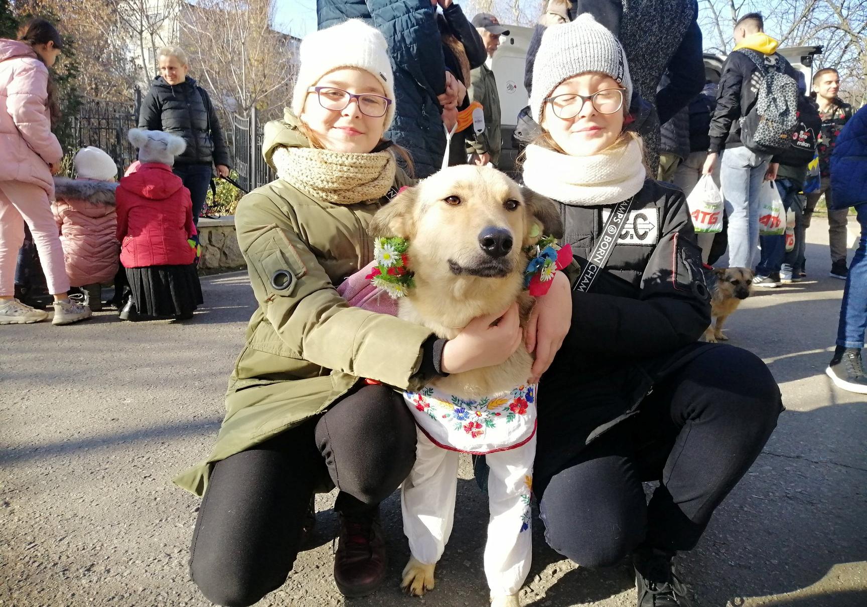 На Полтавщине собакам из приюта одели вышиванки / Фото: pplus.in.ua