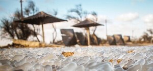 Завораживающее зрелище: как выглядит замершее побережье Бердянска (фото)