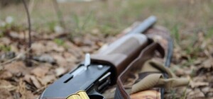 Пьяная охота: на Полтавщине мужчина застрелил собаку