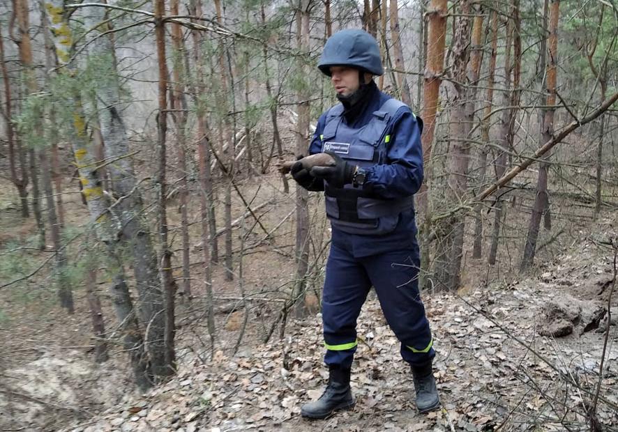 В лесу на Полтавщине люди нашли 17 боеприпасов