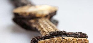 Уникальная находка: на Хортице реставрировали скифский меч (фото)