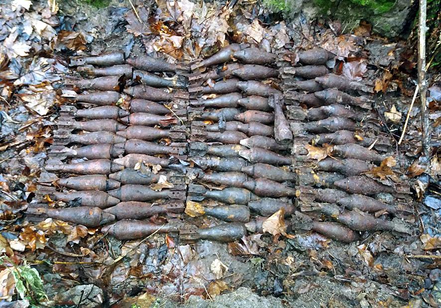 На Полтавщине уничтожили 77 мин, найденных в лесу под деревом