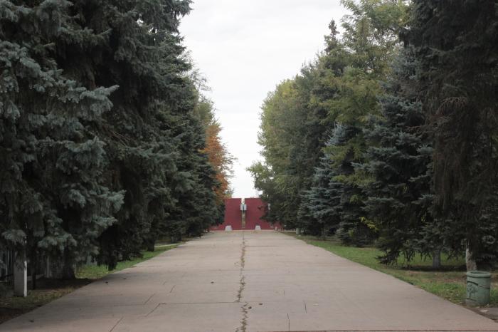 Долой мусор: в парках и скверах Днепра установили новые урны