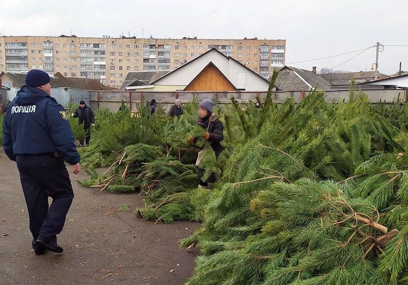 В полиции сообщили, сколько елок изъяли на стихийных рынках