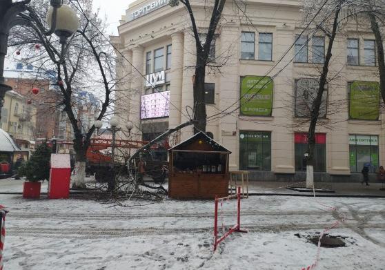 Возле ЦУМа рухнуло дерево и оборвало провода / Фото: irt.pl.ua