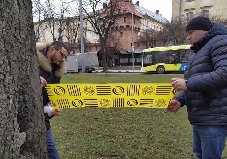 Не пожовкнуть в липні: каштани у центрі Львова пролікують за унікальним методом