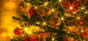 Брошенные елки отправятся помогать следующему Новому году