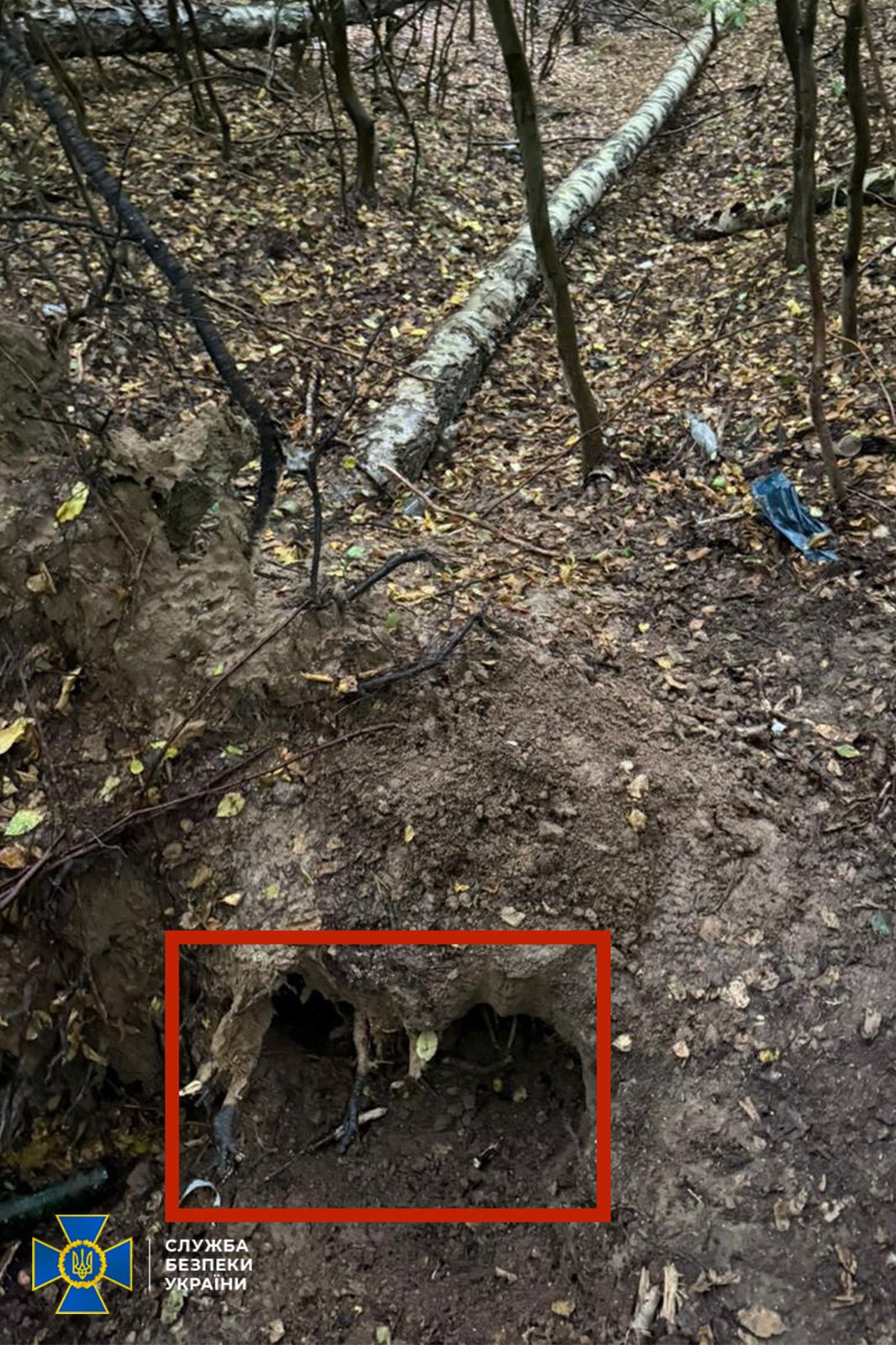 В лесопарке возле Львова обнаружили пистолет, из которого убили Андрея Парубия.