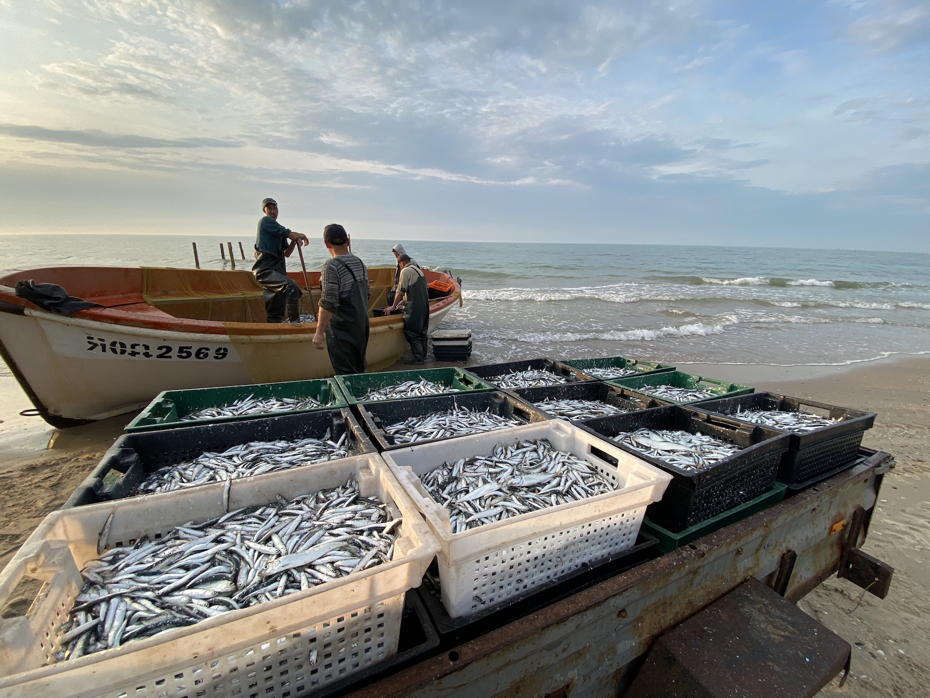 З моря - до столу