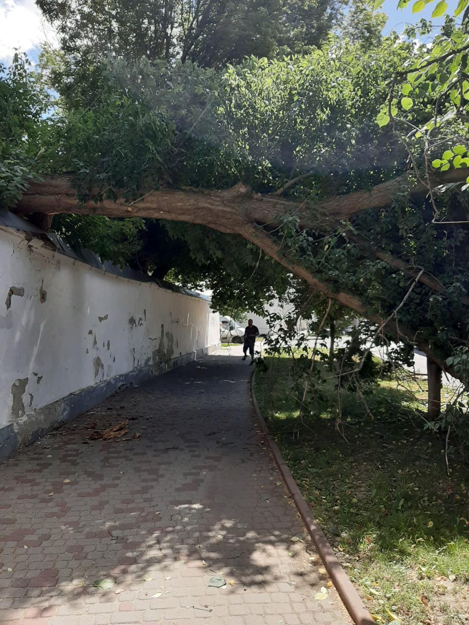 Фото: Полтавщина