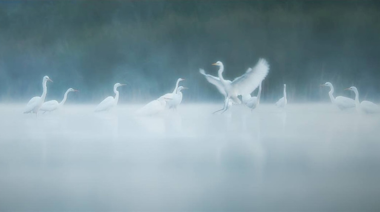 Робота фотографа Дениса Кривого, який загинув під Бахмутом.