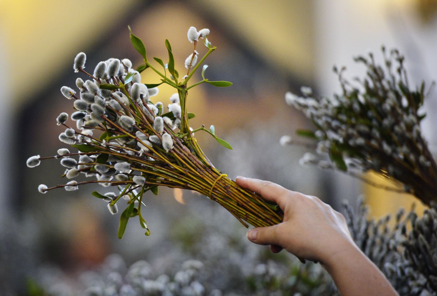 Коли Вербна неділя у 2025 році: традиції, прикмети та головні заборони.