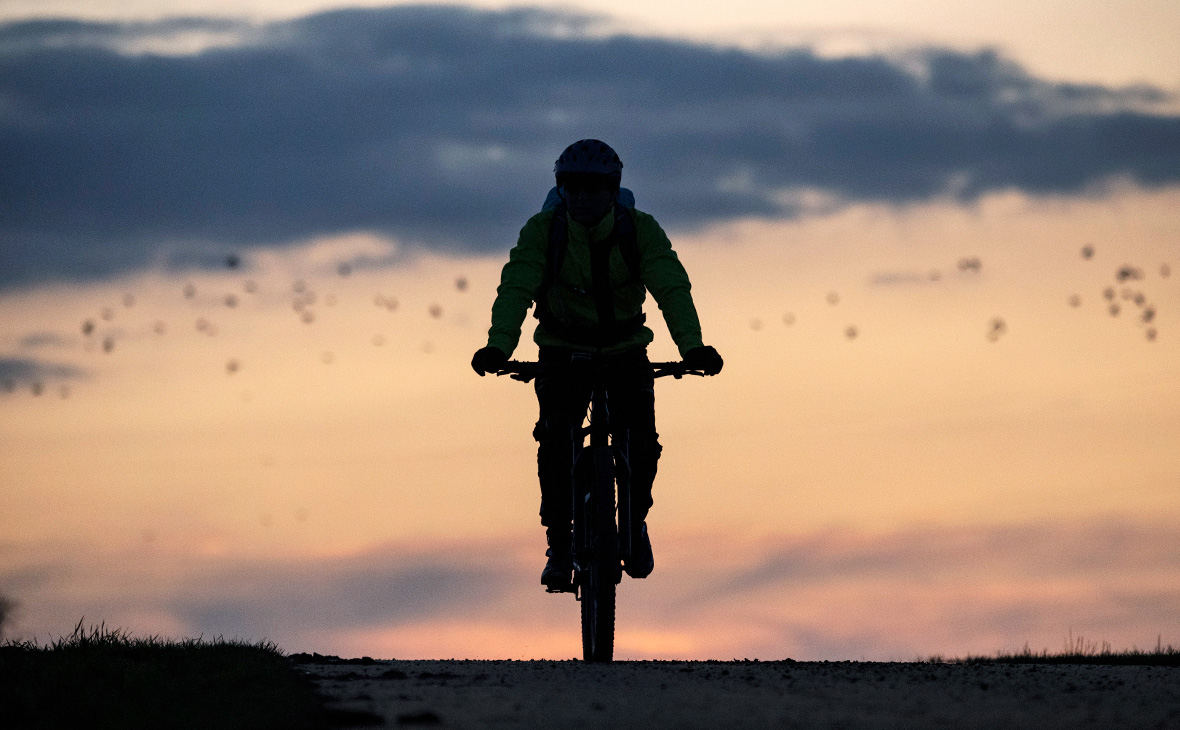 Фото: Boris Roessler / dpa / Global Look Press