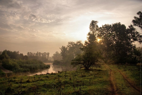Парасоцкий лес