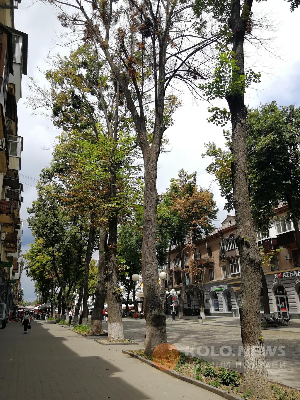 Фото: https://kolo.news/