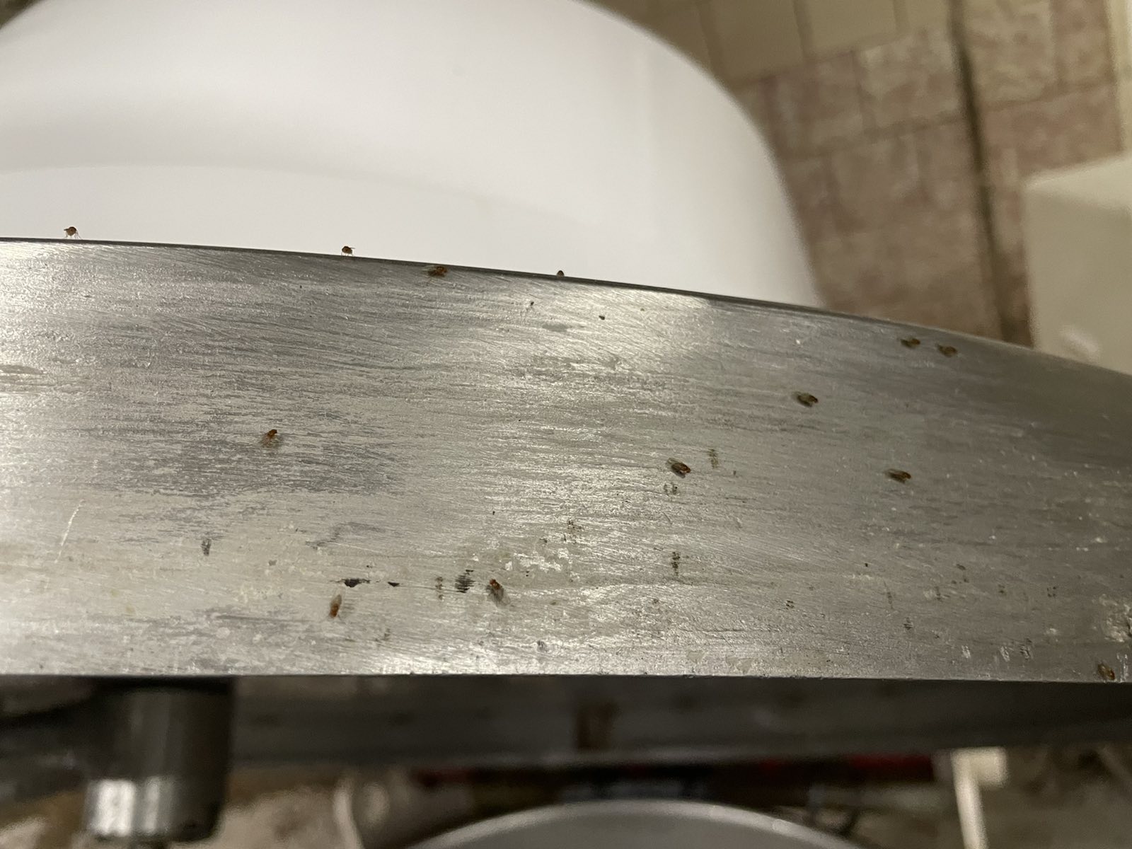 Хлебзавод, снабжавший школы Полтавы, приостановили. Фото: http://polvet.gov.ua/