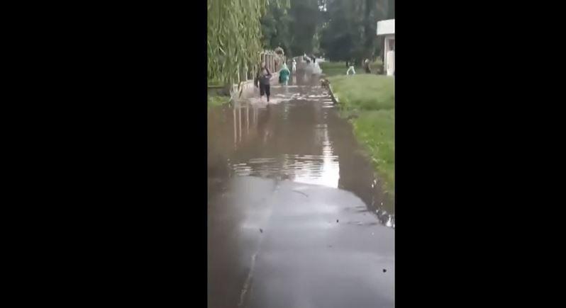 Скриншот сюжета Kolo News