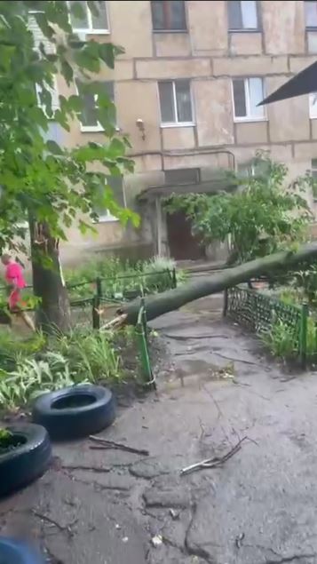 Фото: https://t.me/v_plt