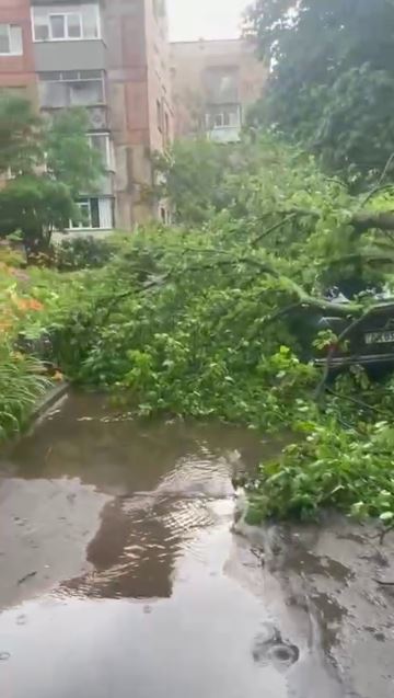 Фото: https://t.me/v_plt