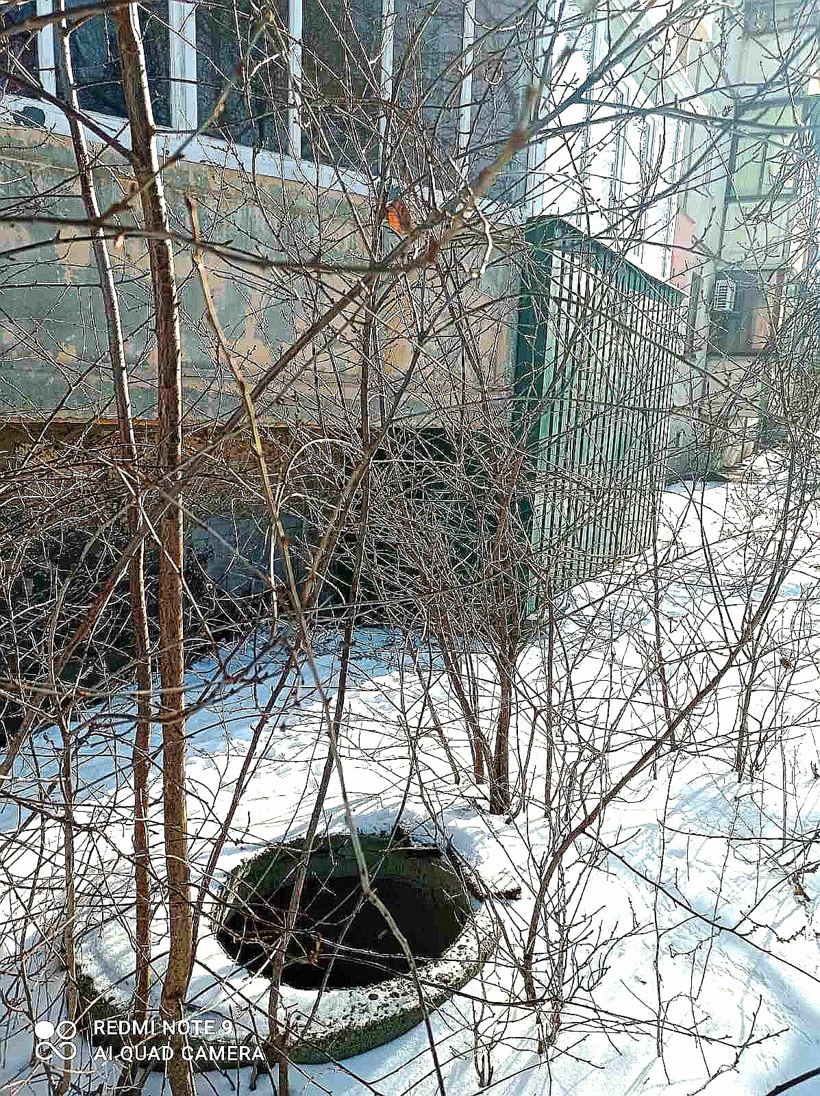 Новые провалы на Огнивке. Фото: https://www.facebook.com/inspekciyablag.ua/